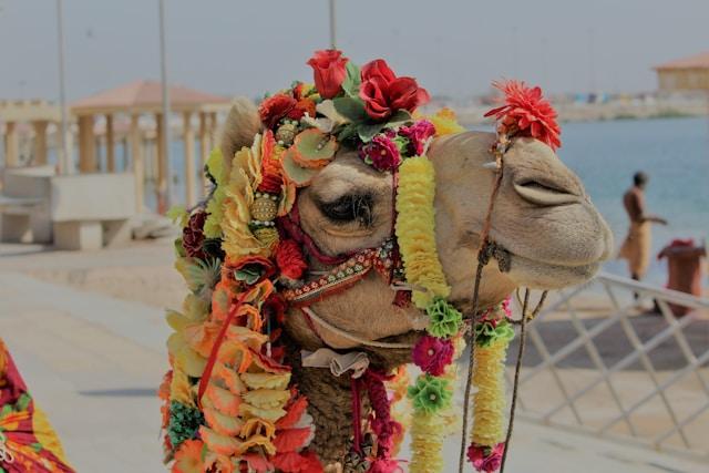 Dwarka